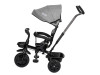 Триколісний дитячий велосипед Free2Move Sport Black Grey, Фото 11