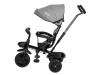 Триколісний дитячий велосипед Free2Move Sport Black Grey, Фото 12