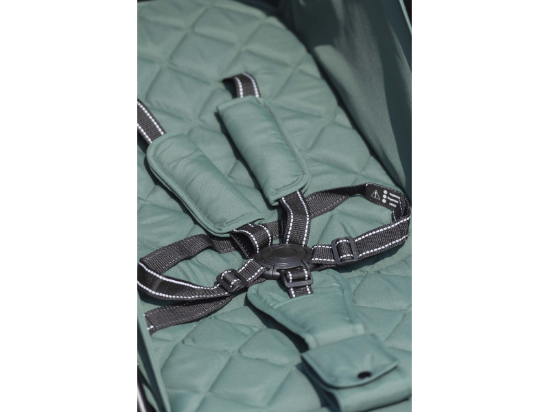 Прогулянкова коляска CARRELLO Bravo CRL-8512 Spring Green /1/, Фото 13
