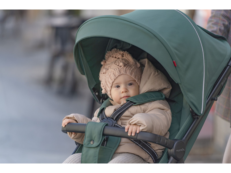 Прогулянкова коляска CARRELLO Bravo CRL-8512 Spring Green /1/, Фото 3