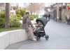 Прогулочная коляска CARRELLO Bravo CRL-8512 Spring Green /1/, Фото 19