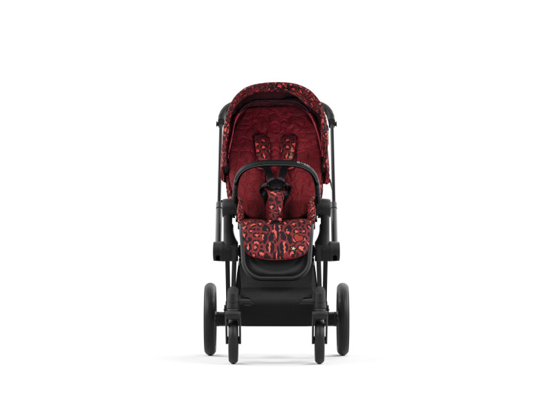 Чохол тканинний для прогулянкового блоку Cybex Priam by Alec Voelkel Rockstar, Фото 4