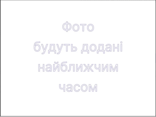 Дитяча постіль Babyroom Bortiki Print-08 рожевий (сови)