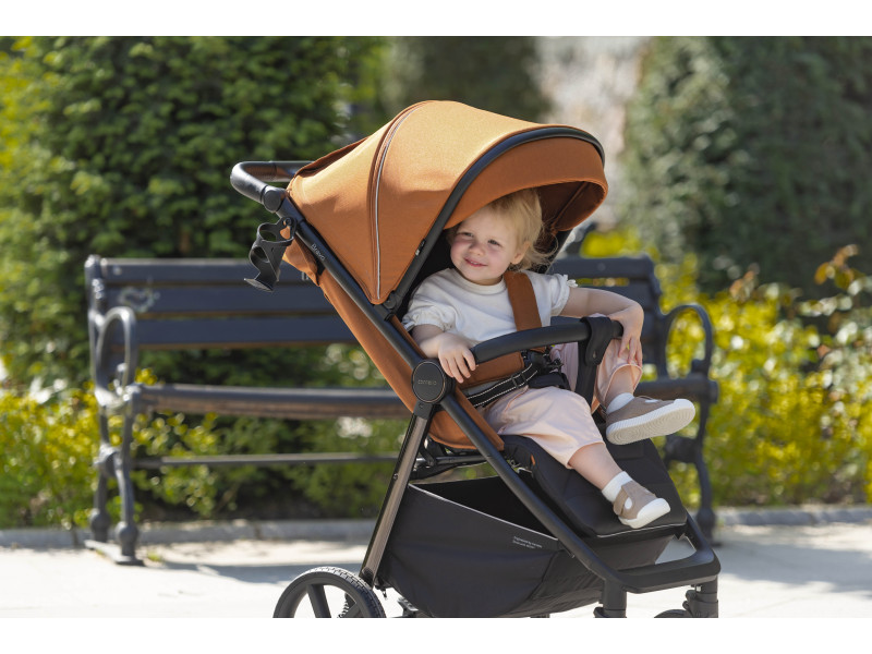 Прогулочная коляска CARRELLO Bravo CRL-5515 Storm Grey 2024 NF /1/, Фото 5