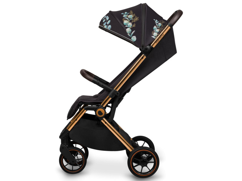 Прогулочная коляска Lionelo CLOE GOLDEN MOMENTS, Фото 3