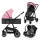 Універсальна коляска 3 в 1 Lionelo AMBER PINK ROSE