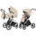 Коляска универсальна CARRELLO Vector CRL-6550 2в1 Seashell Beige /1/