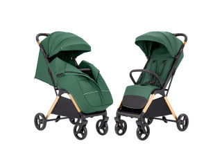 Прогулянкова коляска CARRELLO Cross CRL-5523 Parrot Green /1/