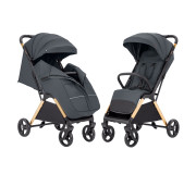 Прогулочная коляска CARRELLO Cross CRL-5523 Eagle Grey /1/