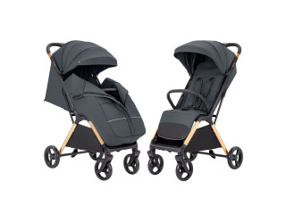 Прогулянкова коляска CARRELLO Cross CRL-5523 Eagle Grey /1/