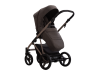Універсальна коляска 2 в 1 PELPASSO 03 KASHMIR, Фото 9