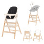 Стульчик для кормления CARRELLO Ergo CRL-16701 Obsidian Black /1/ MOQ