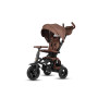 Велосипед складаний триколісний дитячий Rito Deluxe Brown
