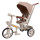 Велосипед триколісний TILLY FLASH T-3812 DARK BEIGE /1/