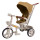 Велосипед триколісний TILLY FLASH T-3812 ORANGE /1/