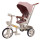 Велосипед триколісний TILLY FLASH T-3812 PINK /1/