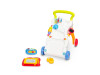 Ходунки-каталка Caretero (Toyz) музичні Rainbow, Фото 15
