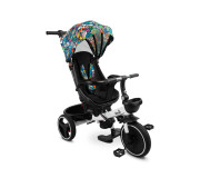 Дитячий триколісний велосипед Caretero (Toyz) Dash Melange
