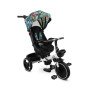 Детский трехколесный велосипед Caretero (Toyz) Dash Melange