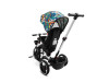 Дитячий триколісний велосипед Caretero (Toyz) Dash Melange, Фото 13