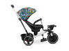 Дитячий триколісний велосипед Caretero (Toyz) Dash Melange, Фото 16