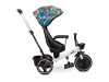 Дитячий триколісний велосипед Caretero (Toyz) Dash Melange, Фото 17