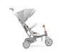 Дитячий триколісний велосипед Caretero (Toyz) Faro Grey, Фото 14
