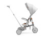 Дитячий триколісний велосипед Caretero (Toyz) Faro Grey, Фото 15