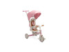 Детский трехколесный велосипед Caretero (Toyz) Faro Pink, Фото 13