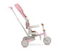 Детский трехколесный велосипед Caretero (Toyz) Faro Pink, Фото 15