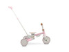 Детский трехколесный велосипед Caretero (Toyz) Faro Pink, Фото 16