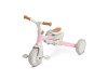 Детский трехколесный велосипед Caretero (Toyz) Faro Pink, Фото 17