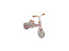 Детский трехколесный велосипед Caretero (Toyz) Faro Pink, Фото 18