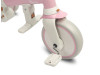 Детский трехколесный велосипед Caretero (Toyz) Faro Pink, Фото 19