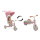 Детский трехколесный велосипед Caretero (Toyz) Faro Pink