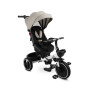 Детский трехколесный велосипед Caretero (Toyz) Dash Grey