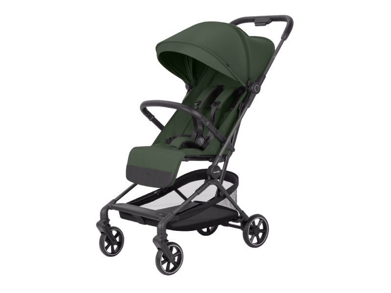 Прогулянкова коляска CARRELLO Evo CRL-5533 Chateau Green, Фото 1