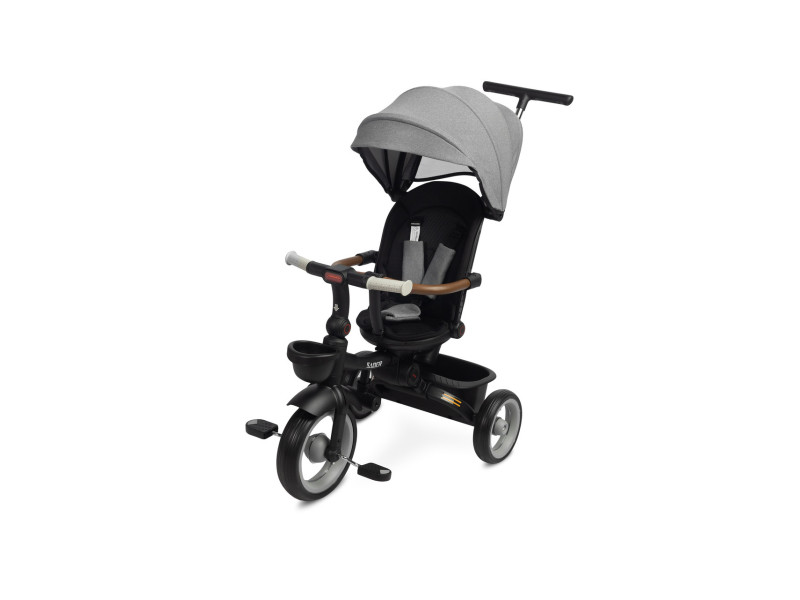 Дитячий триколісний велосипед Caretero (Toyz) Saber, Фото 1