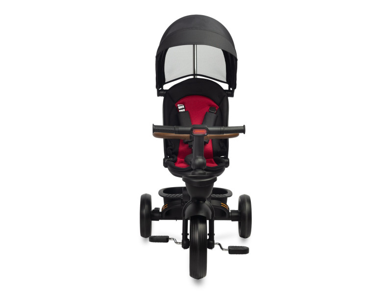 Дитячий триколісний велосипед Caretero (Toyz) Saber, Фото 3