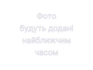 Дитяча постіль Babyroom Bortiki Print-08 сірий (ведмедики)