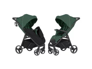 Прогулянкова коляска CARRELLO Bravo CRL-8512 BF Spring Green /1/