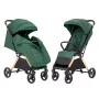 Прогулочная коляска CARRELLO Cross CRL-5523 Porrot Green /1/