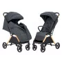 Прогулочная коляска CARRELLO Cross CRL-5523 Eagle Grey /1/